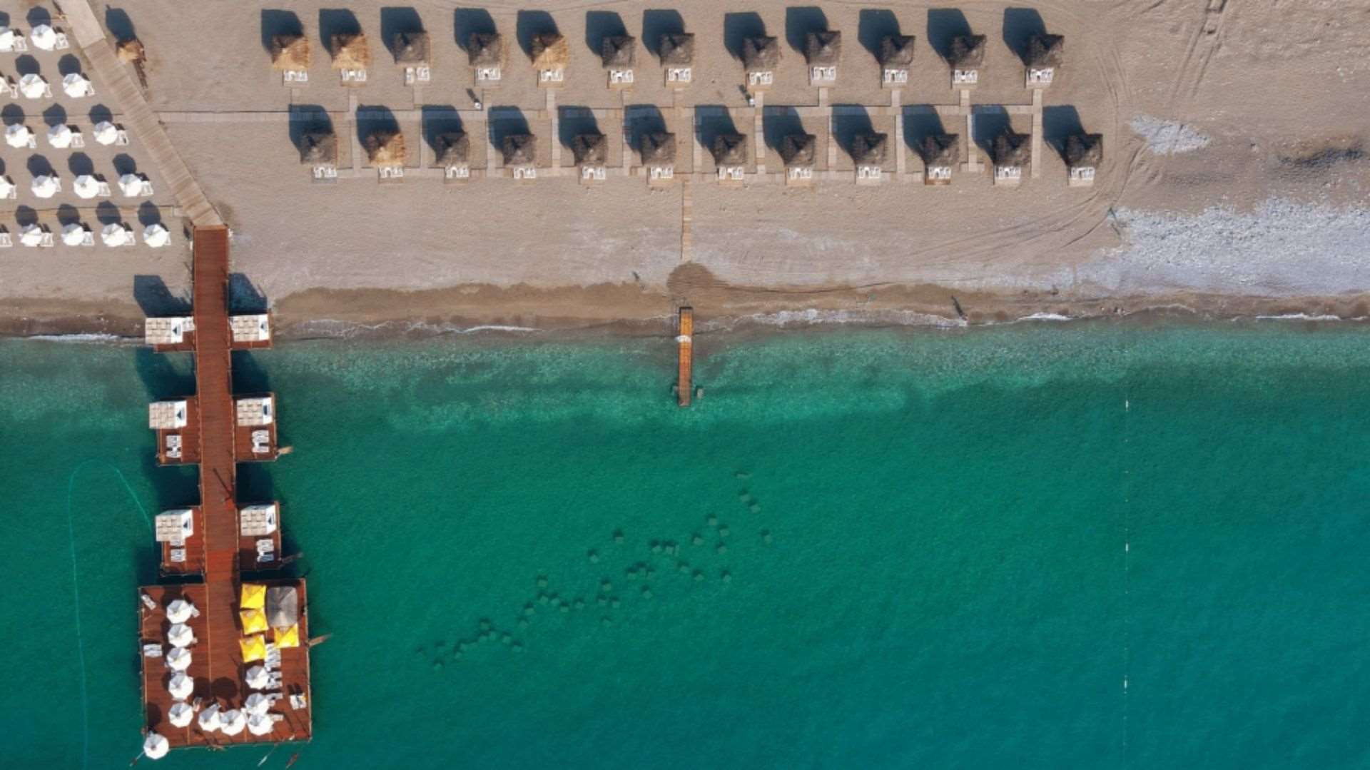 Juju Premier Palace
