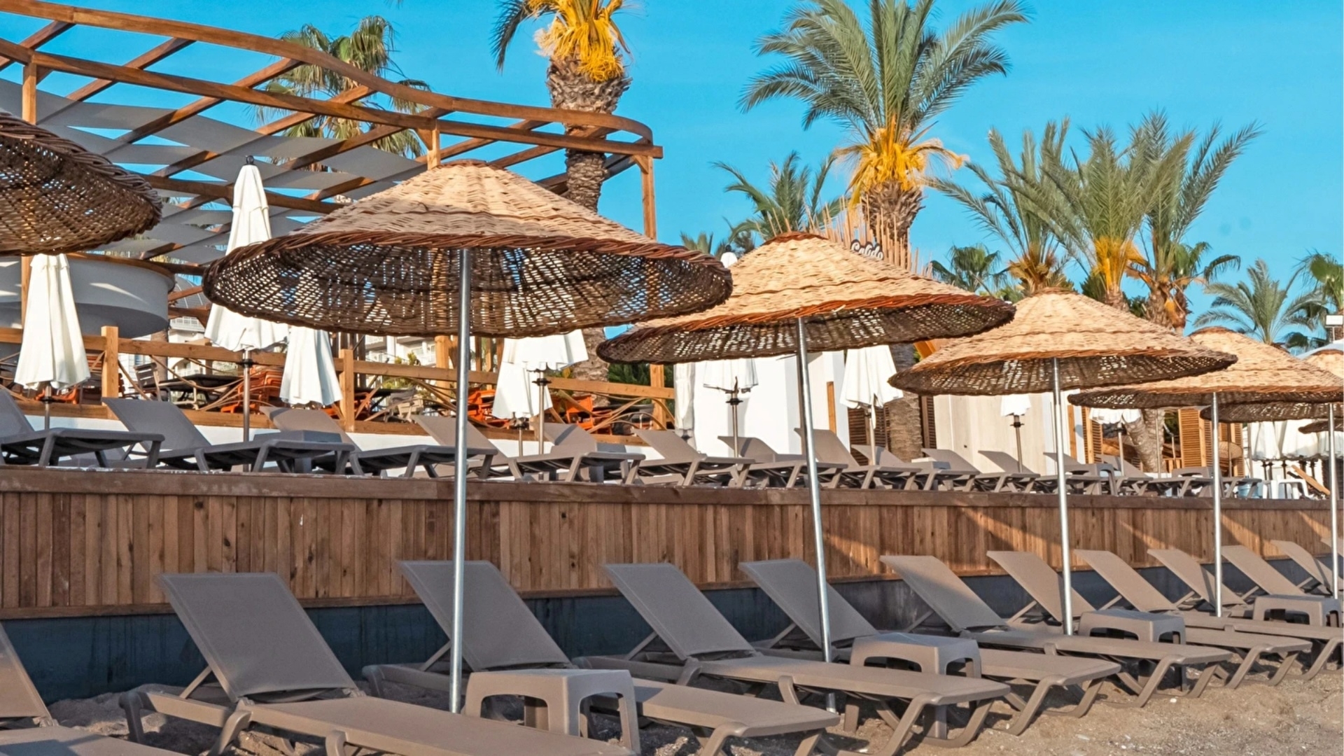 Calido Sol Hotel