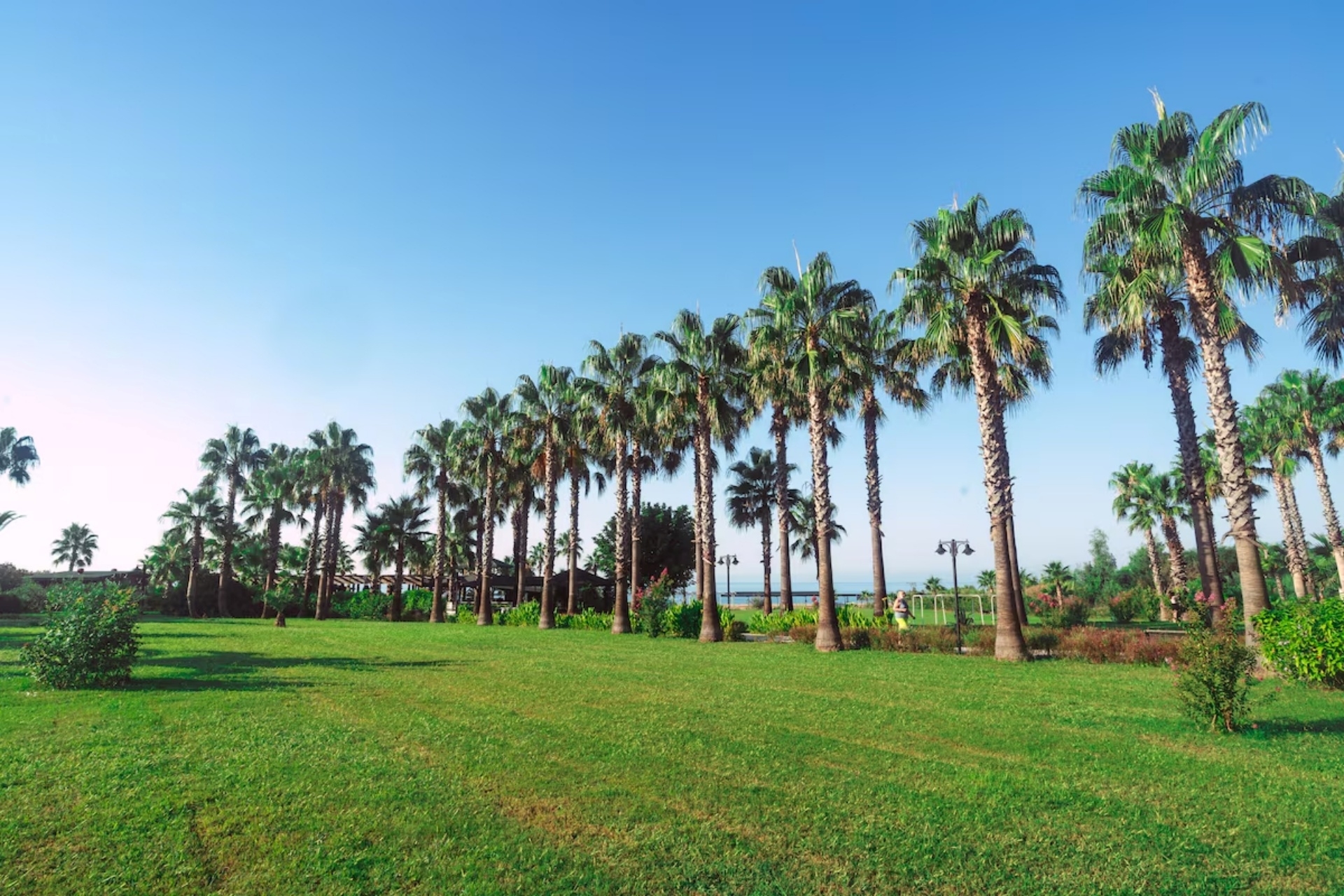 Royal Atlantis Beach