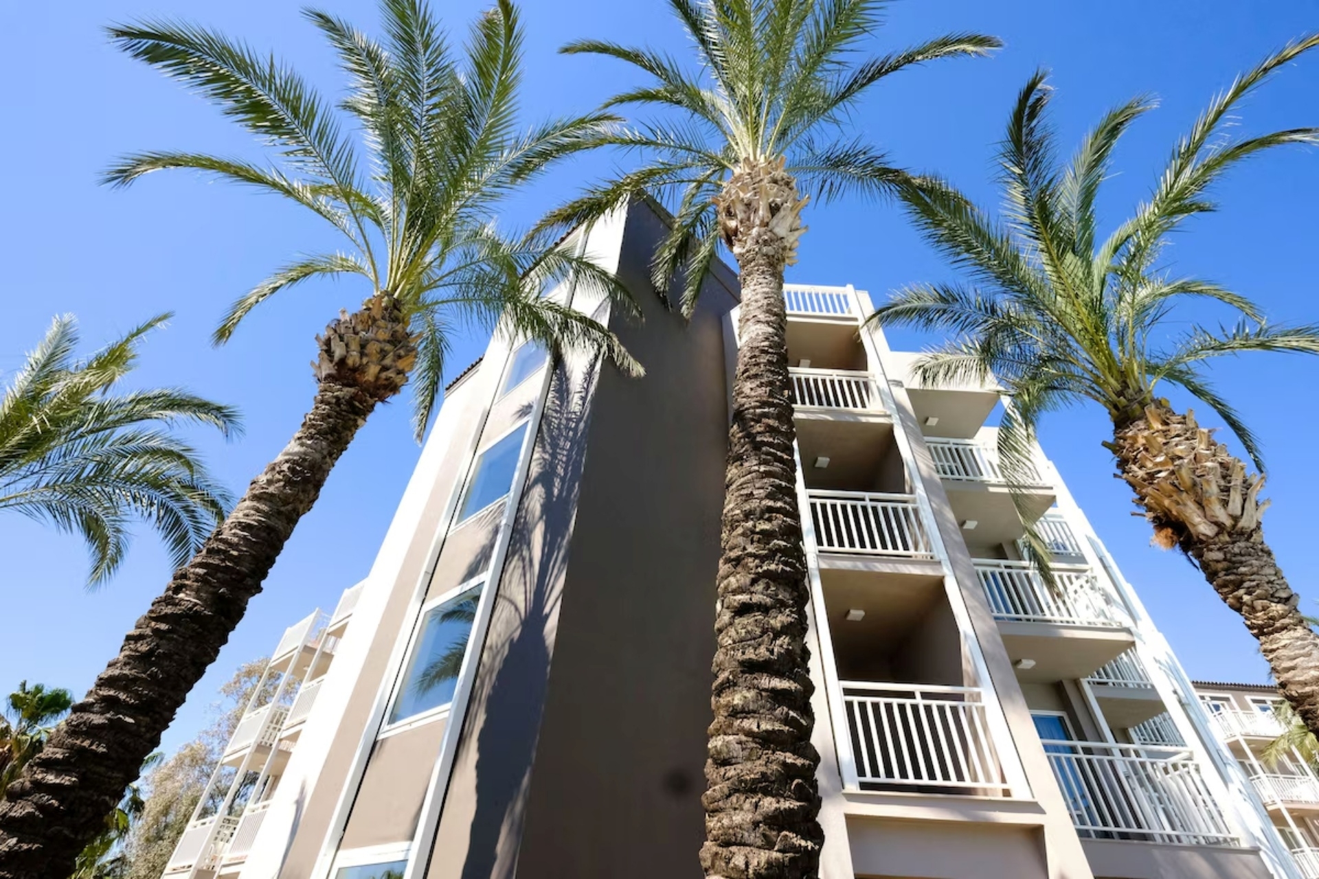 Paloma Perissia Hotel